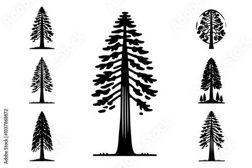 set of redwood tree silhouette silhouette . nature tree isolated - Redwood logo type  icon illustration bundle