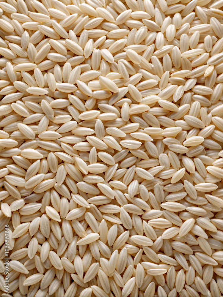 background. food, seed, grain, cereal, rice, brown, texture, wheat, ingredient, healthy, barley, organic, closeup, macro, seeds, raw, dry, sunflower, agriculture, sesame, white, pasta, natural, vegeta background. food, seed, grain, cereal, rice, brown, texture, wheat, ingredient, healthy, barley, organic, closeup, macro, seeds, raw, dry, sunflower, agriculture, sesame, white, pasta, natural, vegeta