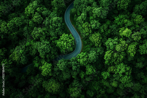 Aerial View of Winding Road Through Lush Green Forest