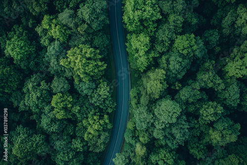 Aerial View of Winding Road Through Lush Green Forest