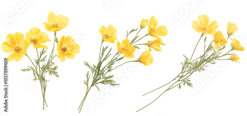 three set of A bunch of yellow flowers isolated transparent background