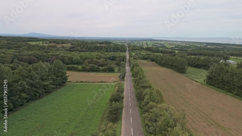 北海道　天に続く道　ドローン　空撮