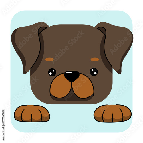 Rottweiler dog face flat vector illustrtion. Rottweiler dog icon