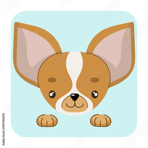 Chihuahua dog face flat vector illustrtion. Chihuahua dog icon