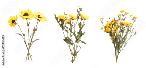 three set of A bunch of yellow flowers isolated transparent background