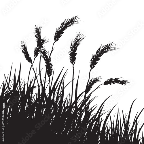  A field of wheat waving in the wind. silhouette illustration 