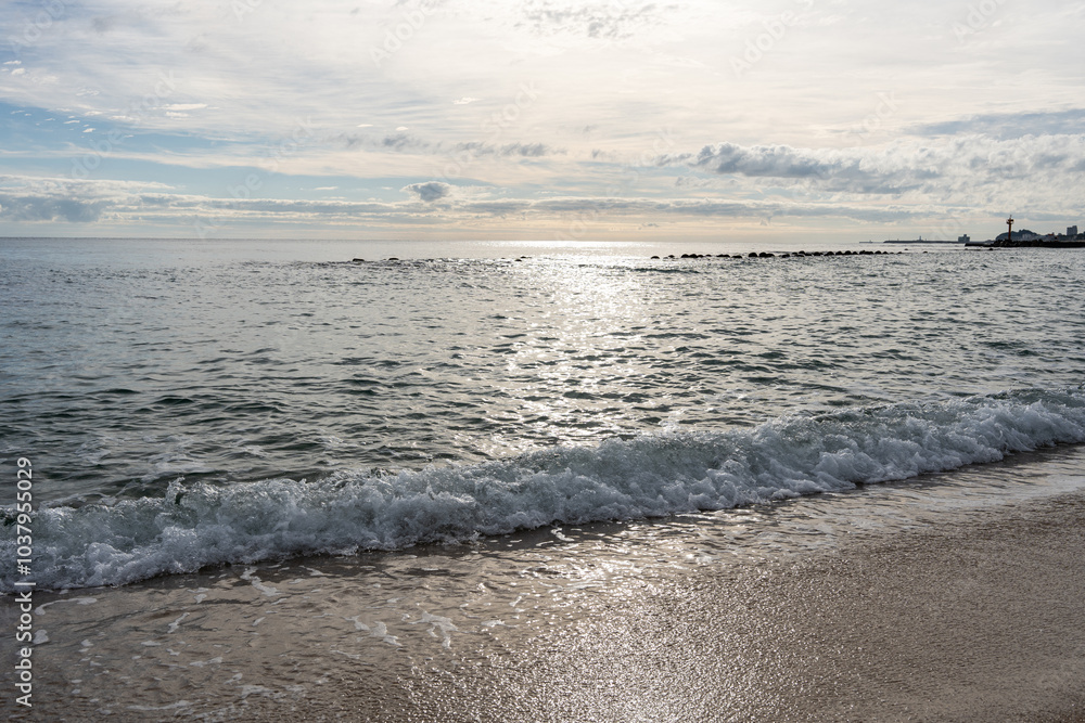 Fototapeta premium 아침 파도가 밀려드는 해변