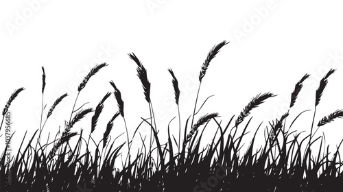  A field of wheat waving in the wind. silhouette illustration 