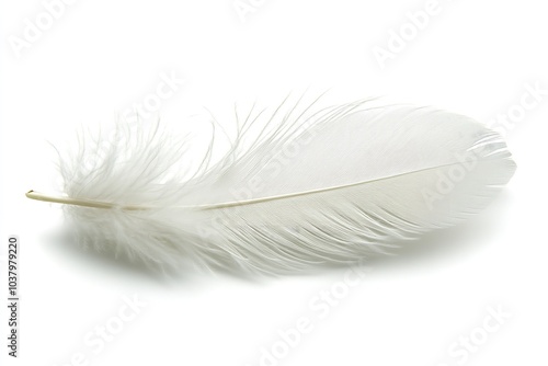 On a white background, a white feather is isolated. Generative Ai