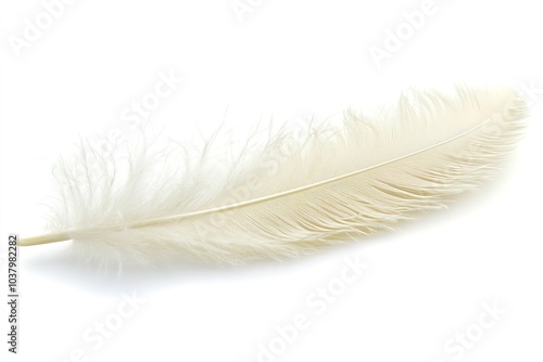 On a white background, a white feather is isolated. Generative Ai