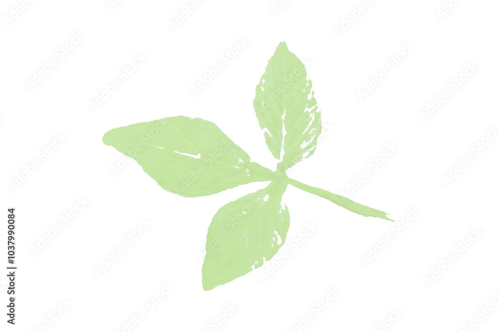 Green watercolor background. Artistic hand paint. Isolated on transparent background.
Green watercolor background. Artistic hand paint. Isolated on transparent background.