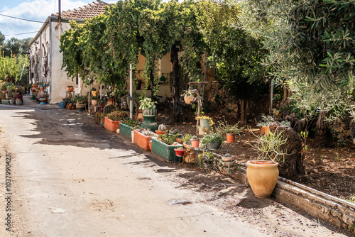 Courtyard is decorated with the decorative crafts and live plants in historical district in Zikhron Yaakov city in northern Israel photo