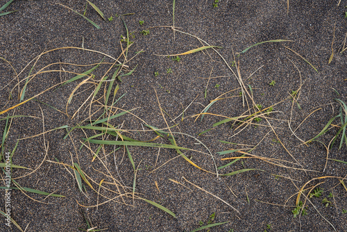 Close up of natural texture, color and shape from Iceland. Beautiful abstract and artistic nature for background.