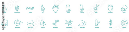 Calories, Carbohydrates, Proteins, Fats, Fiber, Vitamins, Minerals, Sugar, Cholesterol, Sodium, Zinc, Antioxidants, Amino Acids, Trans Fats, Saturated Fats, Unsaturated Fats, Dietary Fiber icons