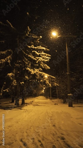 Night winter park in snowfall. Yellow lighting from a lamppost. Slow motion. Winter background, screensaver	
