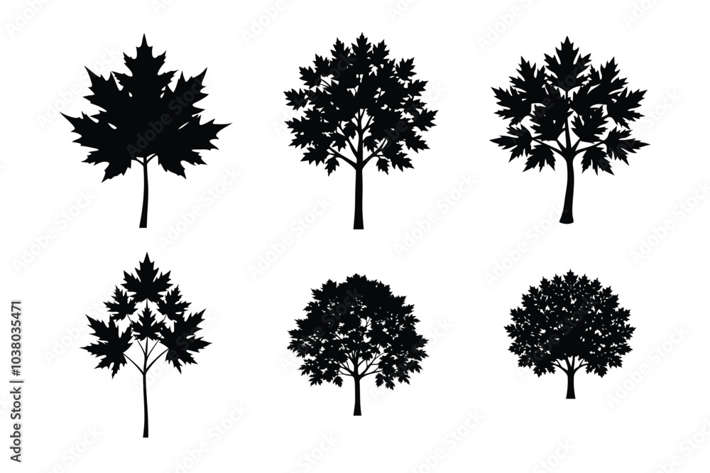 Fototapeta premium Bundle of Autumn Maple tree silhouette art. Maple tree silhouette with intricate branches and detailed leaf