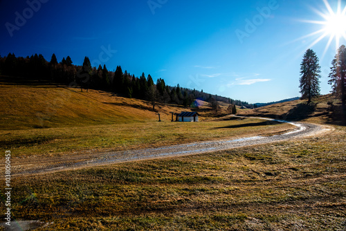 2023 12 17 Asiago country road 5 photo