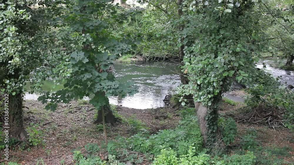 River Cabe in Monforte de Lemos River Cabe in Monforte de Lemos