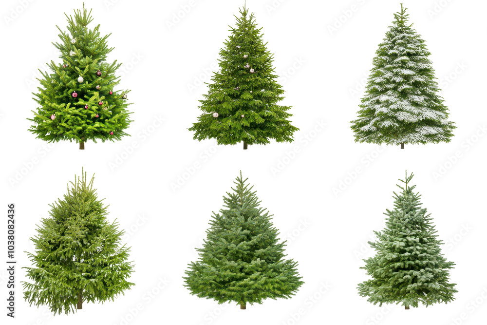 Obraz premium A collection of various green Christmas trees in different shapes and styles, isolated on a white background. This festive assortment is ideal for holiday decoration concepts, Christmas themes, and se