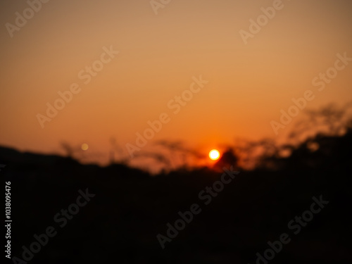 Wallpaper Mural Sunset blur shadow forest nature summer background cloud gradient overlay dramatic weather orange sky evening sunrise pastel color effect pattern abstract spring light beauty template yellow wallpaper Torontodigital.ca