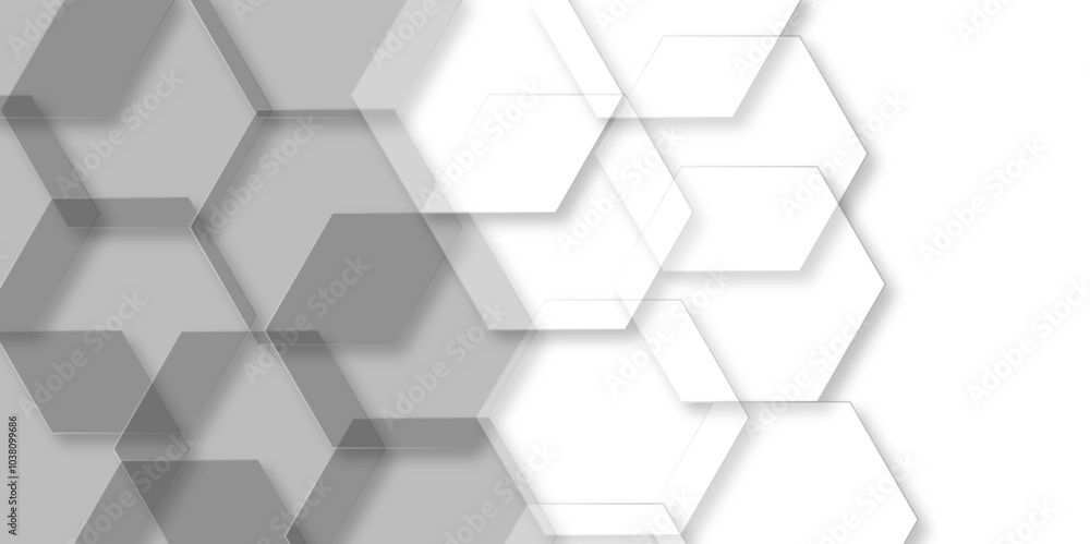 Abstract gray and White background with crystal structure. Polygon drawing. Digital geometric technology businesses. Background with white and grey hexagonal lines, Abstract 3d hexagonal background. Abstract gray and White background with crystal structure. Polygon drawing. Digital geometric technology businesses. Background with white and grey hexagonal lines, Abstract 3d hexagonal background.