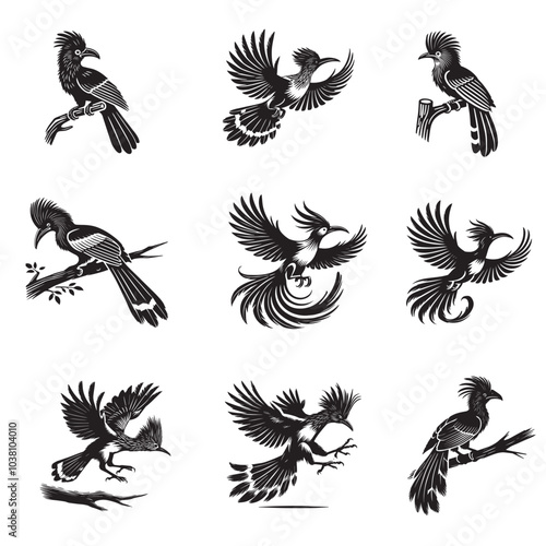 Collection of Hoatzin silhouette Design -  Hoatzin Bird Vector illustration
 photo