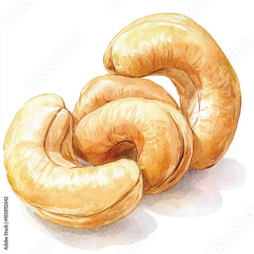 Cashew fruit watercolor clipart illustration