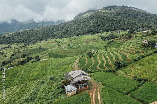 rice fields on a mountain and take photo in the Ban Pa Bong Piang, Mae Chaem District, Chiang Mai Province, northern Thailand in the rainy season. photo