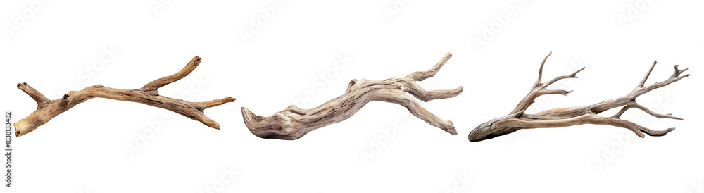 Obraz premium PNG Various Natural Wooden Branches for Decoration