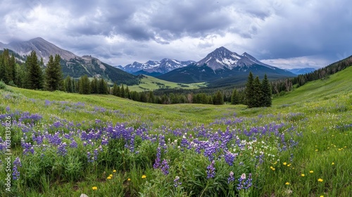 A panoramic view of a vibrant meadow filled with colorful flowers, surrounded by majestic mountains under a dramatic sky.