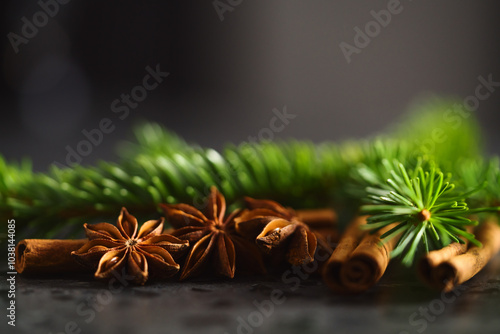 closeup of spruce twig with cinnamon and anise on terrazzo countetop photo