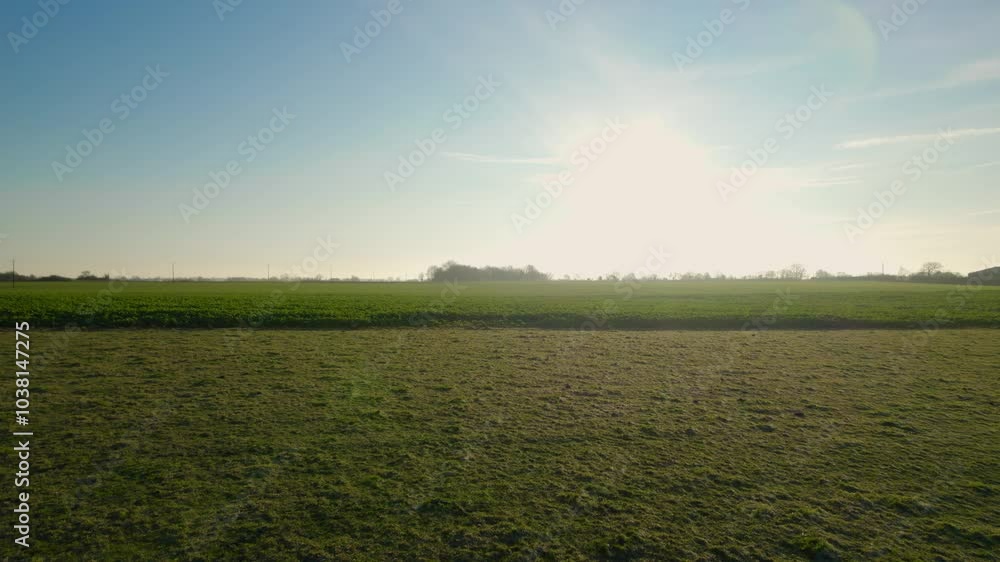 aerial view passing over a green field aerial view passing over a green field