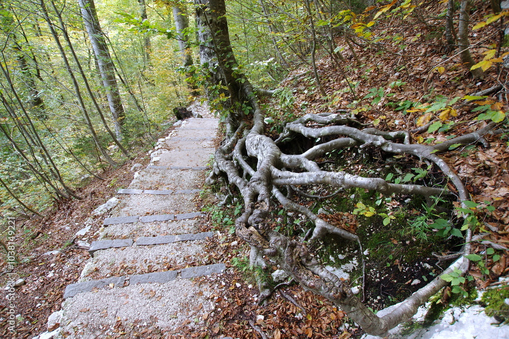 The path to the Savica Falls