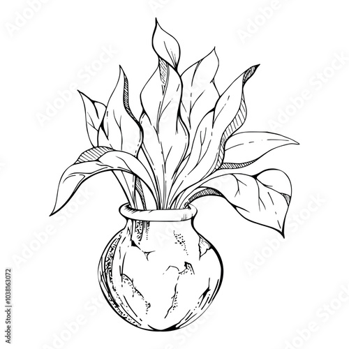 Nature tropical exotic house plant leaves in ceramic terracotta pot. Hand drawn ink vector illustration isolated white background. Design travel, home decor shop brochure, print, botanical garden ads