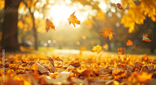 Orange fall leaves in park, autumn natural background