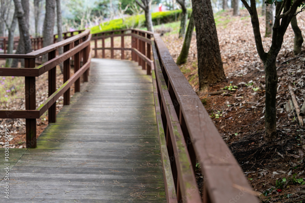 wooden walkway in the forest at the seaside wooden walkway in the forest at the seaside