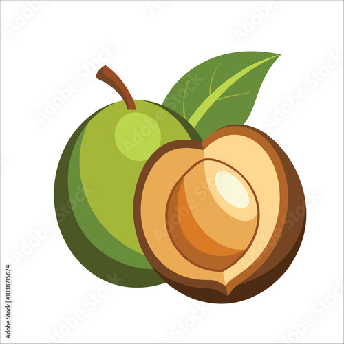 sapodilla best stock design