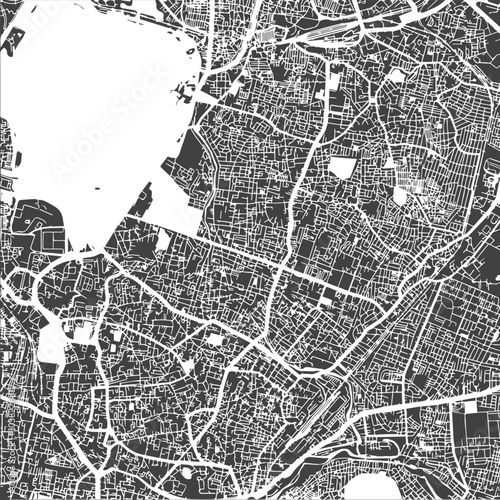Vector map of Hyderabad city in two colours....