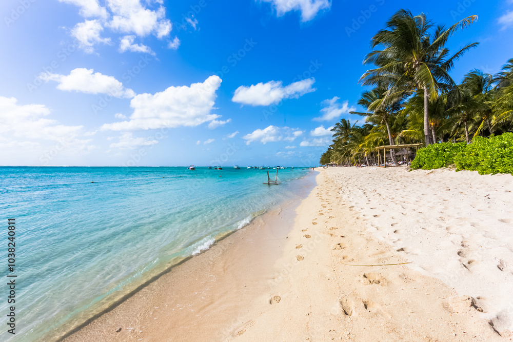 Fototapeta premium Plage du Morne Brabant, Île Maurice 