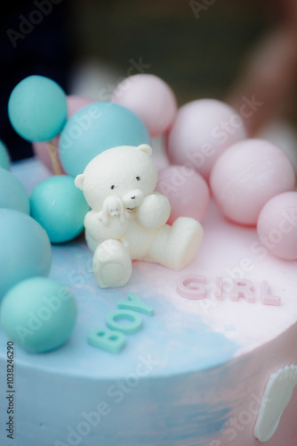 Cake for gender party. Decorations for determining the gender of the child. Blue and pink colors of decor. Photo zone in the nature in the forest. Boy or girl?