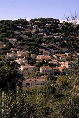 small village surrounded by woods photo