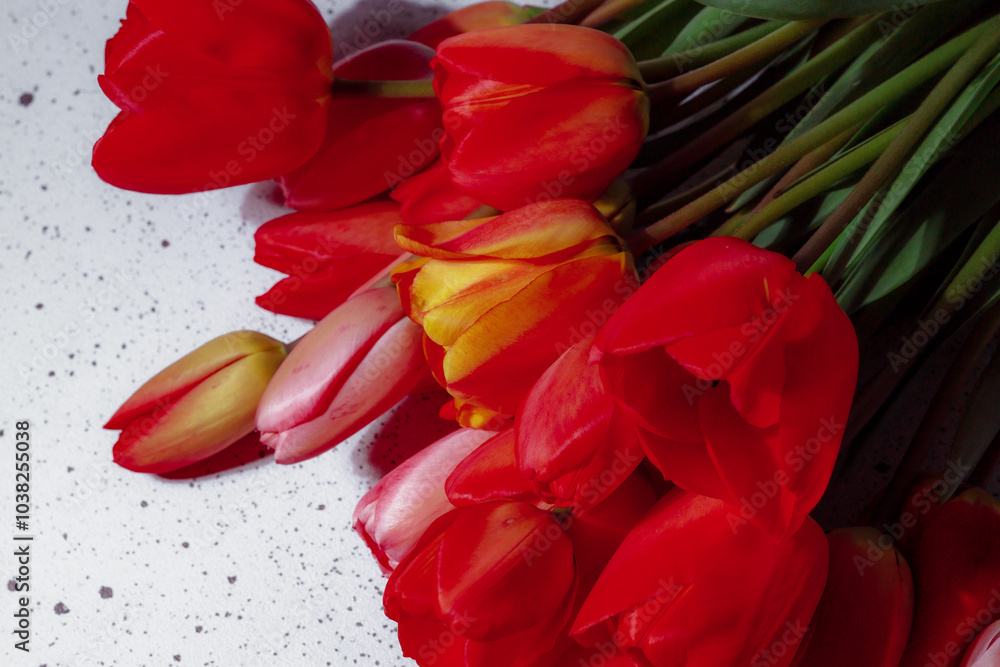 Natural bouquet of spring tulips. Red tulips on a smart white background. Valentine's day, mother's day, tenderness day, birthday concept. Soft selective focus. Spring scene. Greeting card. Natural bouquet of spring tulips. Red tulips on a smart white background. Valentine's day, mother's day, tenderness day, birthday concept. Soft selective focus. Spring scene. Greeting card.