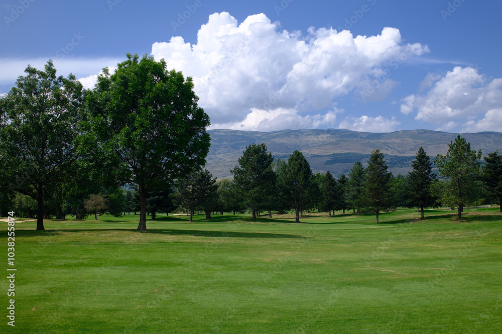 green golf course in a sunny day green golf course in a sunny day