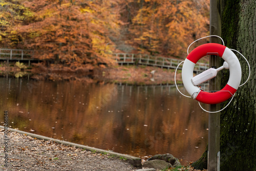 S?der?sen national park during autumn in southern Sweden. Nature background. photo