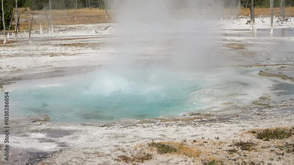 geothermal vent activity amongst national park venting geysers geothermal vent activity amongst national park venting geysers