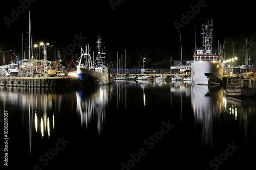 Illuminated harbor with fishing boats at night.