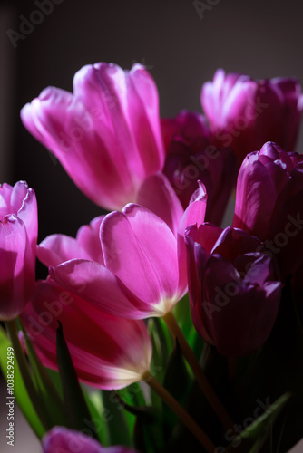 Natural bouquet of spring tulips. Purple tulips on a plain gray background. Valentine's day, mother's day, tenderness day, birthday concept. Soft selective focus. Spring scene. Greeting card.