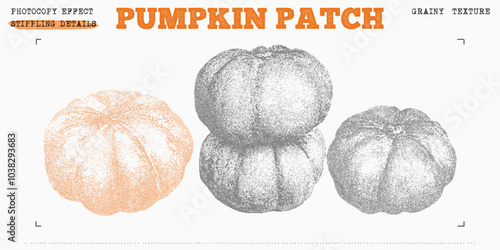Pumpkins vector illustration. Trendy stippling photocopy effect