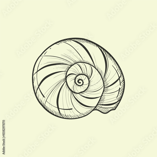 Seashell in hand drawn sketch style. Best for summer and vacation designs. Vector illustrations isolated on monochrome background.