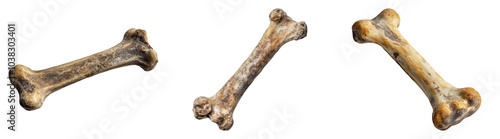 Realistic dog bones isolated on transparent background perfect for pet product packaging or animal-themed designs